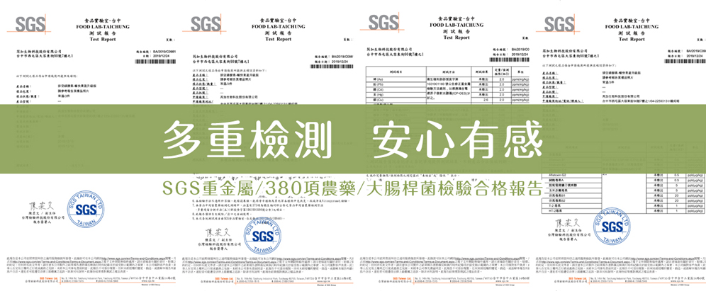 vegetable enzyme sgs product inspection