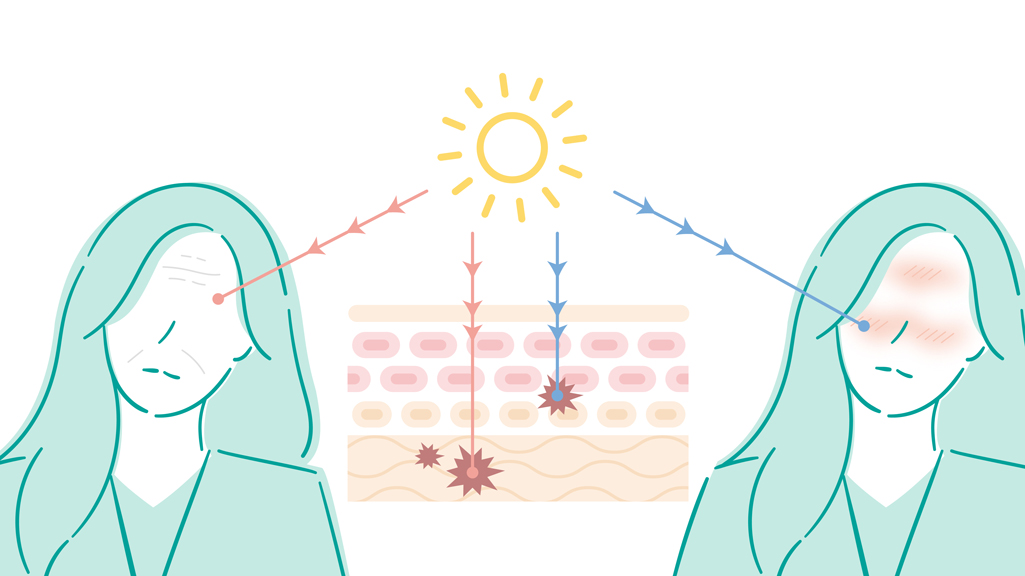 probiotics-brightening illustrations